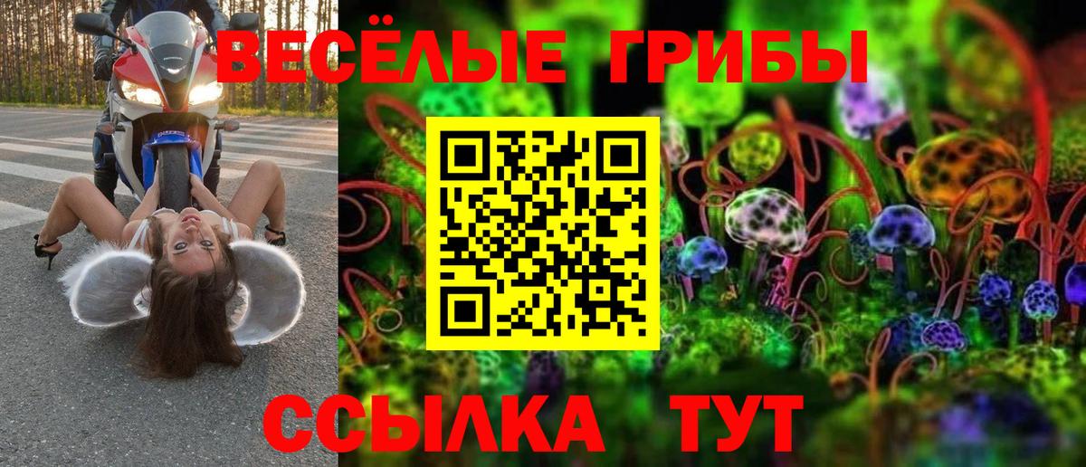 Псилоцибиновые грибы Cubensis Вичуга