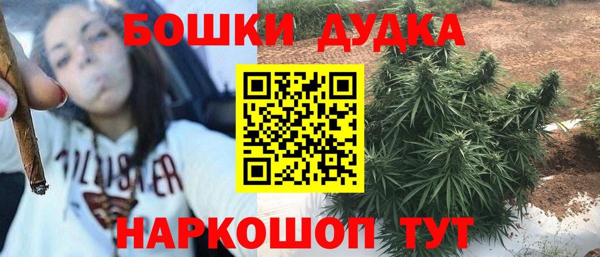 Бошки Шишки индика Вичуга